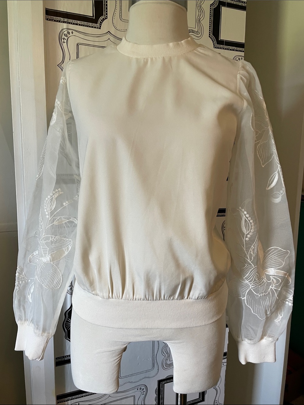 Express White Sheer Embroidered Sleeve Top